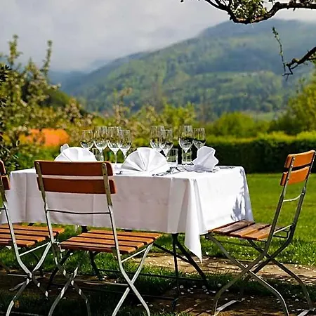 Ξενοδοχείο Der Ederer 4*